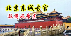 操屄日屄中国北京-东城古宫旅游风景区