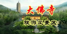 啊啊啊操我逼逼视屏中国浙江-新昌大佛寺旅游风景区